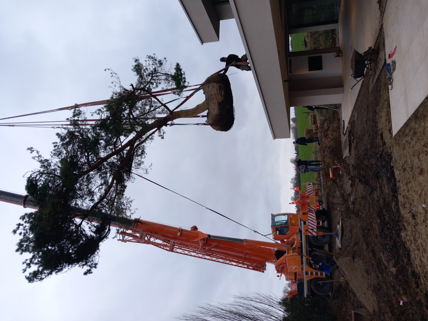 Plan 3D jardin paysager Luxembourg