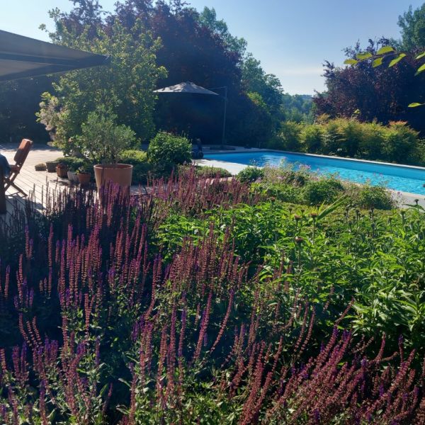 Architecte de Jardin Gesves | Rénovation Terrasse et Jardin Mellifère